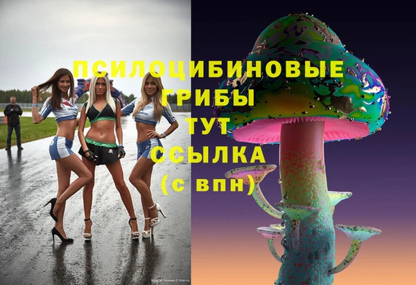 соль курить ск Алзамай