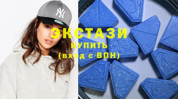 СК Алексин