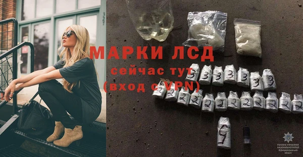 СК Алексин