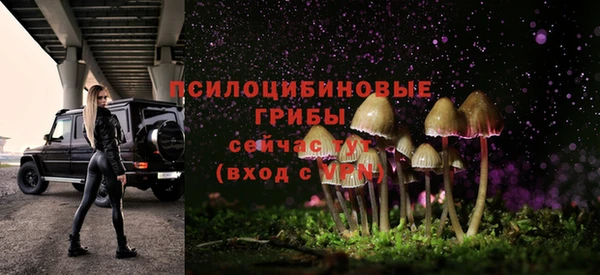 соль курить ск Алзамай