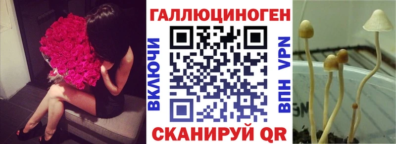 Галлюциногенные грибы Cubensis Билибино